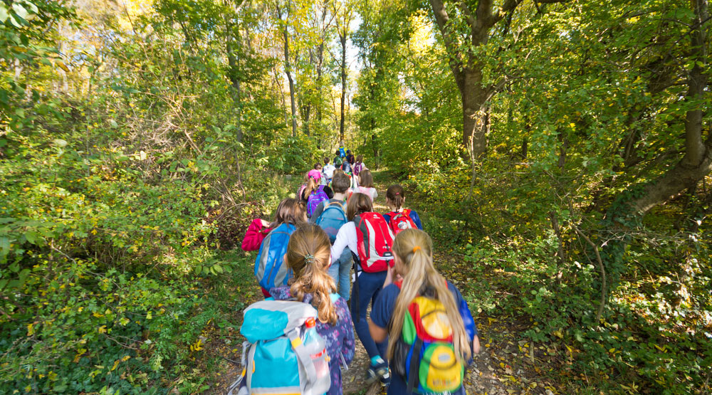 Skole i skogen – et godt læringsmiljø